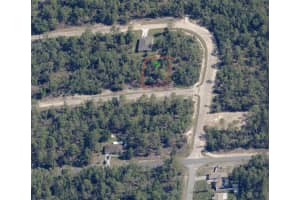 1067 W Pendleton St, DUNNELLON