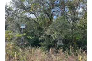 12151 Twin Lake Dr, NEW PORT RICHEY