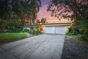 52 Sandpiper Rd, TAMPA