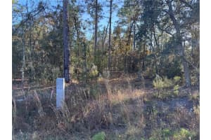 Tbt Sw 91st Ln, DUNNELLON