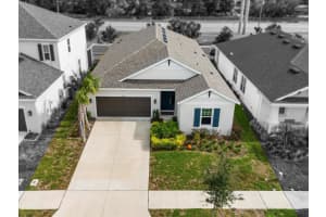 2725 Leafwing Ct, PALM HARBOR 2725 Leafwing Ct, PALM HARBOR