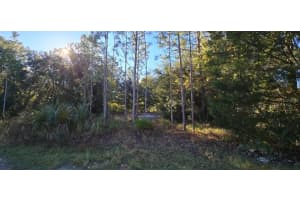 7784 W Twin Canal Ln, HOMOSASSA