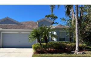 10044 Bucklin St, TAMPA