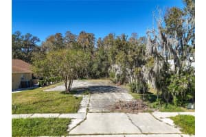 1323 Baythorn Dr, WESLEY CHAPEL