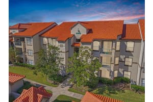 18106 Peregrines Perch Pl #5204, LUTZ
