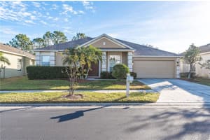 3602 Juneberry Dr, WESLEY CHAPEL