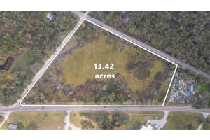 2050 Paul S Buchman Hwy, ZEPHYRHILLS