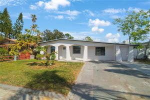 6318 S Renellie Ct, TAMPA