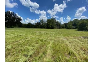 0 Mandrake Road, WESLEY CHAPEL