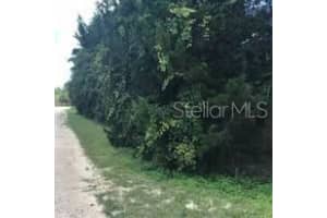 10180 Zebrafinch Ave, WEEKI WACHEE