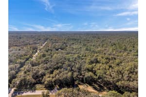 13996 Peace Blvd, SPRING HILL