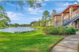 10265 Gandy Blvd N #1711(furnished), ST PETERSBURG 10265 Gandy Blvd N #1711(furnished), ST PETERSBURG