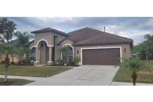 10126 Londonshire Ln, TAMPA