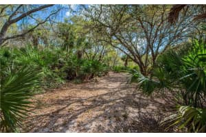 392 Manly St, PORT CHARLOTTE