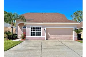 1218 Vinetree Dr, BRANDON