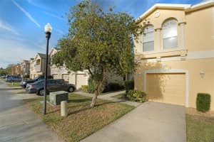 9111 Moonlit Meadows Loop, RIVERVIEW