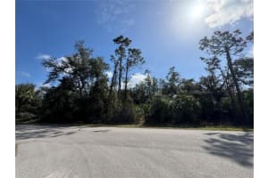 Joyce Ave, NORTH PORT