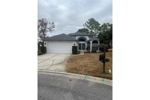 11425 Billingham Blvd, SPRING HILL