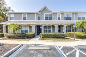 12704 Country Brook Ln, TAMPA
