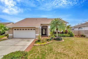 6208 Forrestal Dr, TAMPA