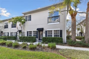 10052 Old Haven Way, TAMPA