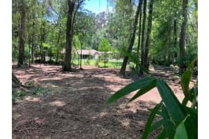 Griffin Rd, BROOKSVILLE
