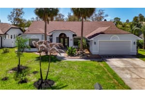 8208 Rhanbuoy Rd, SPRING HILL