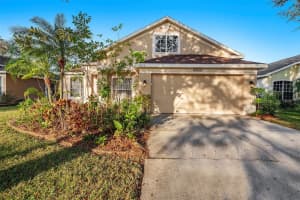 12816 Pacifica Pl, TAMPA