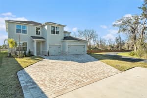 22990 Scaglione Dr, LUTZ