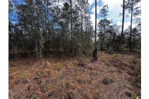 Se 133rd Ave, DUNNELLON
