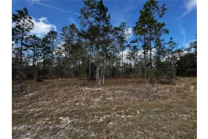 Se 131st Ave, DUNNELLON