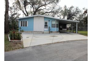 36012 Begonia Ave, ZEPHYRHILLS