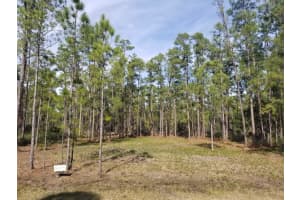 Alba Dr, INDIAN LAKE ESTATES