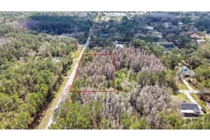 Beaver Ln, WESLEY CHAPEL