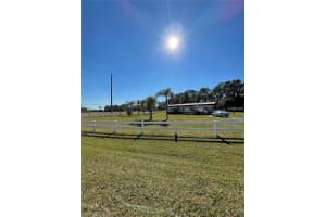 31220 Eloian Dr, WESLEY CHAPEL 31220 Eloian Dr, WESLEY CHAPEL