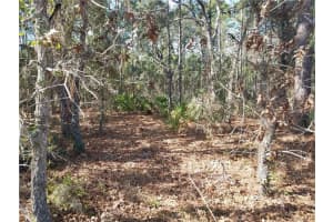 4 E Elder Ct, HOMOSASSA