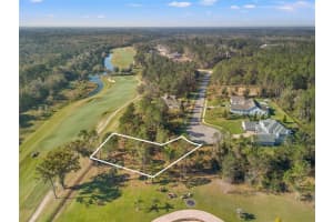 20132 English Walnut Pl, BROOKSVILLE