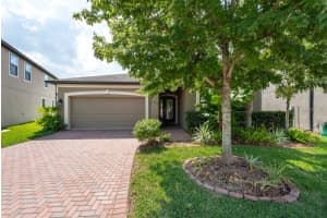 10428 Arbor Groves Pl, RIVERVIEW
