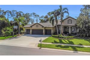 3668 Janus Way, PALM HARBOR