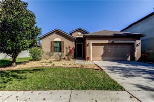 869 Vino Verde Cir, BRANDON