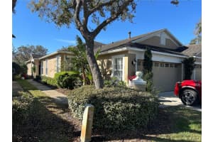 8603 Egret Point Ct, TAMPA