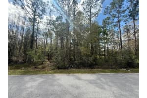 Green Willow Run #lot 759, WESLEY CHAPEL