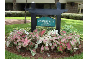 36750 Us Highway 19 N #3-210, PALM HARBOR