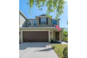 20319 Starfinder Way, TAMPA