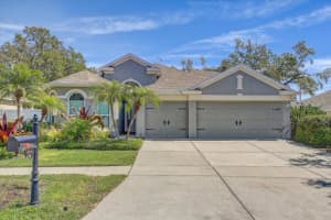 10810 Moss Island Dr, RIVERVIEW