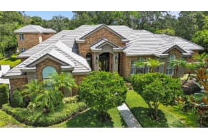 16211 Villarreal De Avila, TAMPA