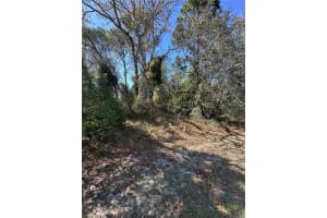 3069 Amherst Ave, SPRING HILL