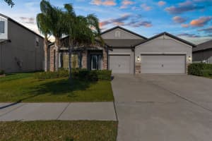11432 Leland Groves Dr, RIVERVIEW