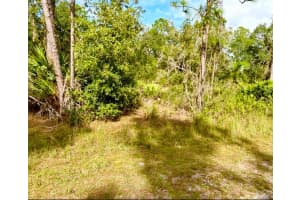Oleander Dr, INDIAN LAKE ESTATES