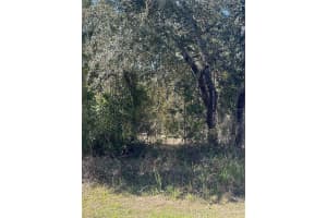 7 Sweetbay Ct, HOMOSASSA